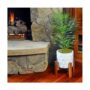” Sheet Moss – Mosser Lee – Natural Green – 325 sq ft”
